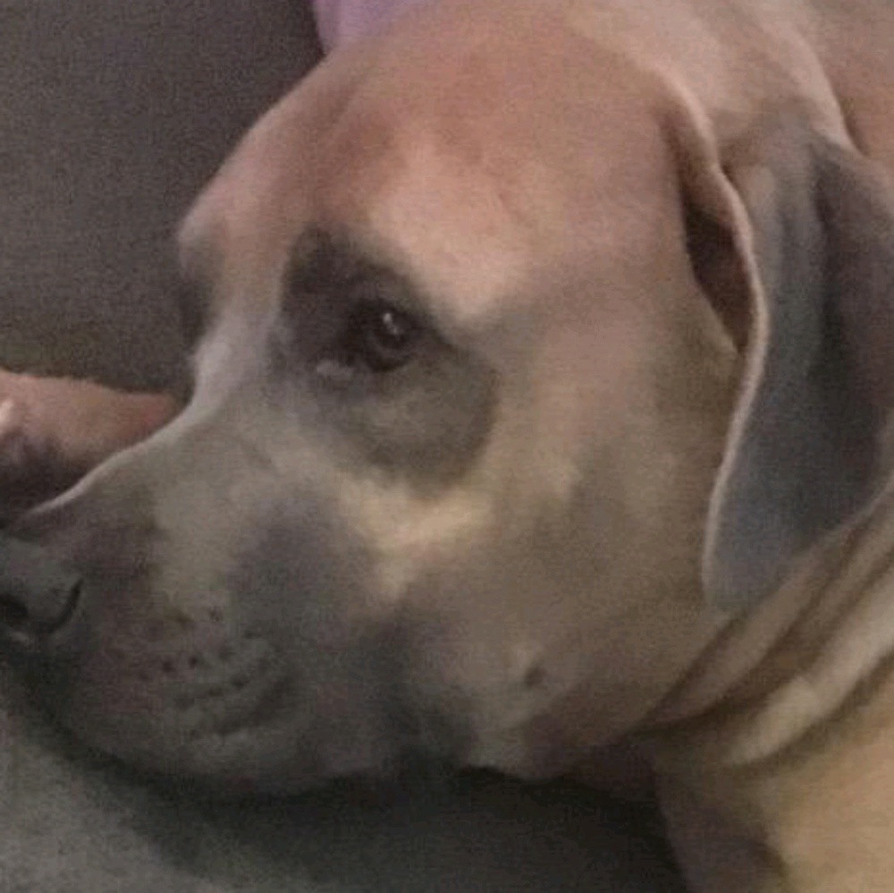 Meet your Posher, Jose